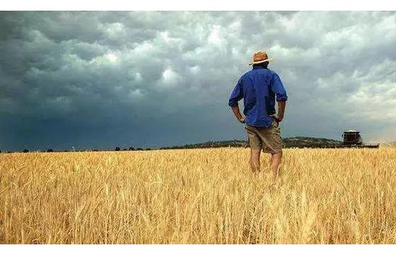 未来的农业改革潮将“淘汰”大半农民？这5条出路哪条最适合你？