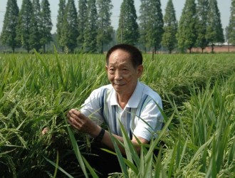 致敬袁隆平：不朽的功勋，有趣的灵魂